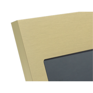 Alurahmen gold eloxiert zu ENVISION 10"