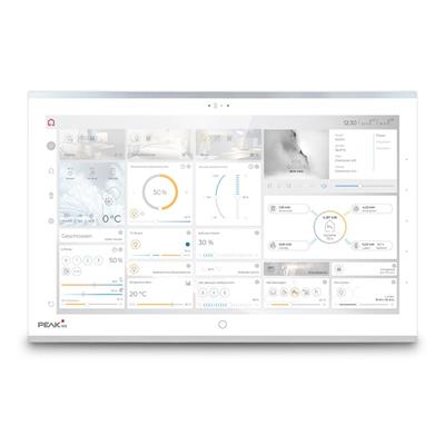 Control 16 (Rahmenfarbe: Silber)