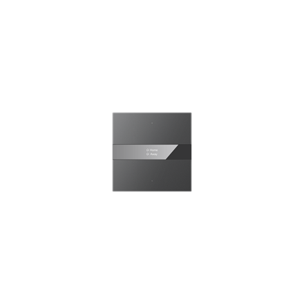 KNX Secure KNX S-Serie Tastersensor mit Display, Spiegelglas, 2-fach, Grau