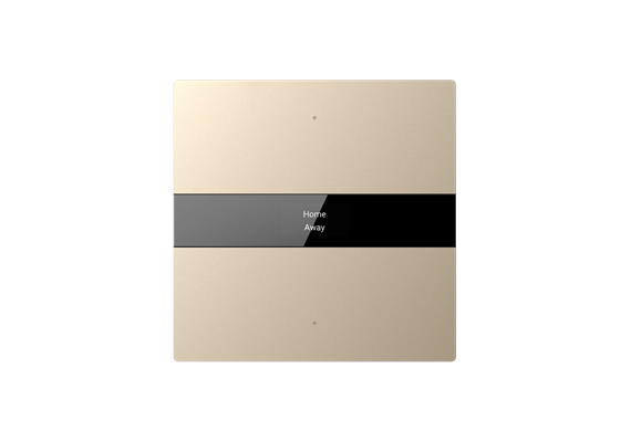 S-Serie Glastaster mit Display, Normalglas, 2-fach, Gold