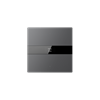 S-Serie Glastaster mit Display, Normalglas, 2-fach, Grau