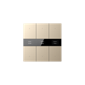 S-Serie Glastaster mit Display, Normalglas, 6-fach, Gold