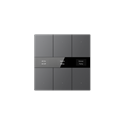 S-Serie Glastaster mit Display, Normalglas, 6-fach, Grau