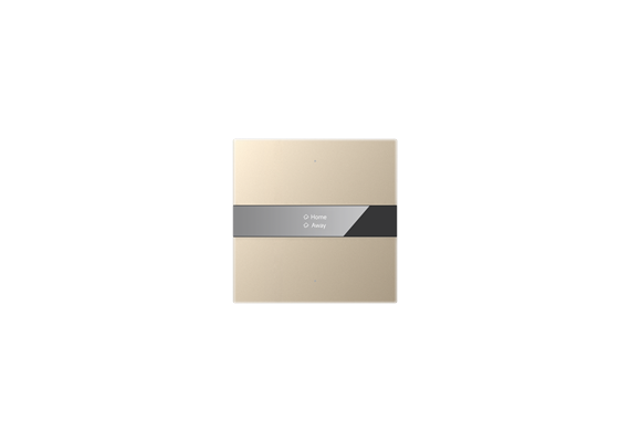 S-Serie Glastaster mit Display, Spiegelglas, 2-fach, Gold