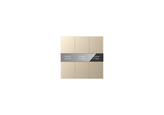 S-Serie Glastaster mit Display, Spiegelglas 6-fach, Gold
