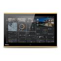 Control 16 (colore telaio: oro)