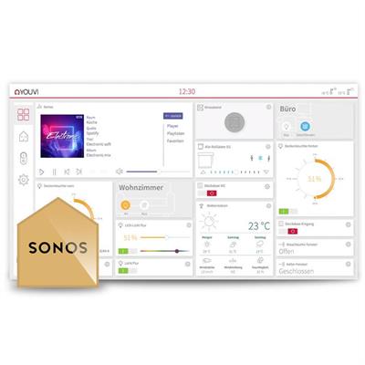 YOUVI Sonos Bridge